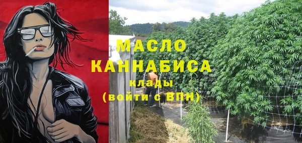 mdpv Бородино