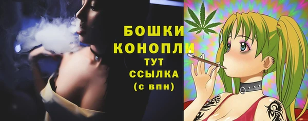 ECSTASY Бронницы