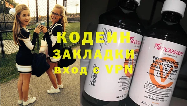 mdpv Бородино