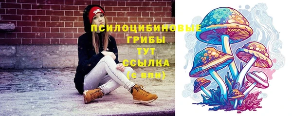mdpv Бородино