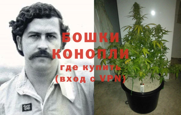 ECSTASY Бронницы