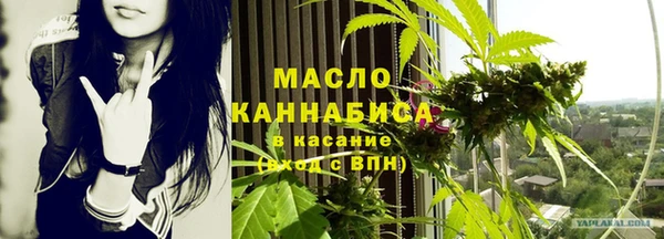 mdpv Бородино