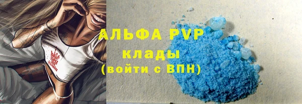 mdpv Бородино