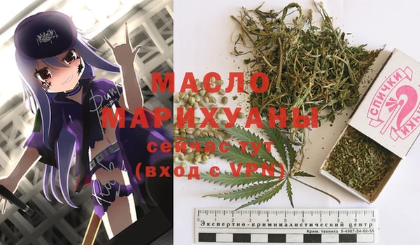 mdpv Бородино